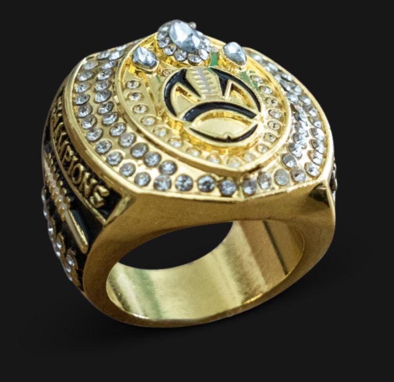 eCommerce Social Media Advertising Case Study – Sports Team Accessories